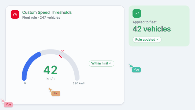 Custom Speed Thresholds